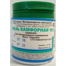 Камфорная мазь 10%, 40 гр.